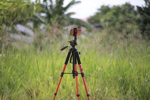 Tripod with Mounted Camera Standing in a Field of Lush Green Grass photo