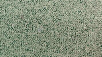 Detailed close-up of green carpet texture, ideal for use in design projects, backgrounds, or interior decor themes with a soft finish photo