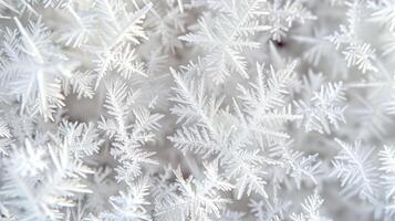 Close-up of delicate white frost crystals forming a mesmerizing abstract pattern. photo