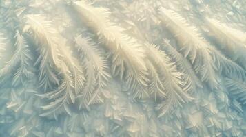 Abstract background with white frost pattern on a cold winter day. photo
