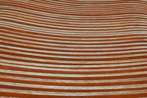 Brown wooden planks, fragment of a bench with curved geometry, horizontal planks. Abstract background. photo