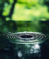 Raindrop Ripple Water Surface Reflection Nature Tranquil Serenity Peaceful Background photo