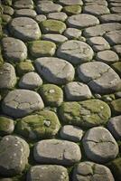Cobblestone Path with Green Moss Texture Natural Stone Background photo