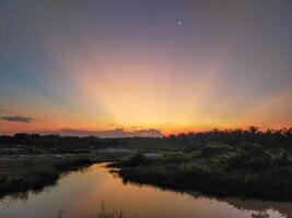 a photo wallpaper desktop, background, about sunset over a river with palm trees and water