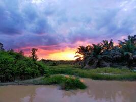 a photo wallpaper desktop, background, about sunset over a river with palm trees and water