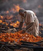 An Indian Man Placing Marigold Flowers on the Ground During a Traditional Ritual or photo