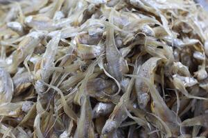 Dried fish display in a seafood market. Fish that is being dried in the sun to be salted fish and sold. Salted Anchovies in one large tray. Heap of dried peeled anchovies photo