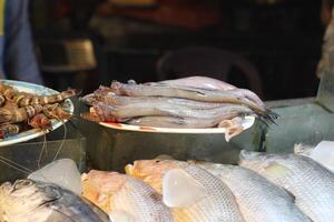 Seafood on ice at the fish market. Frozen fish and seafood on ice photo