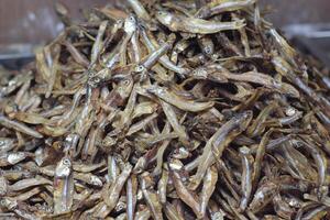 Dried fish display in a seafood market. Fish that is being dried in the sun to be salted fish and sold. Salted Anchovies in one large tray. Heap of dried peeled anchovies photo