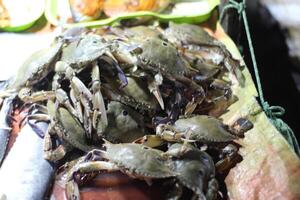 Fresh crab at street food. Indulge in the culinary delight of Dungeness crab, meticulously harvested and offered for sale. Delight in the sweet, succulent flavor of this ocean treasure photo