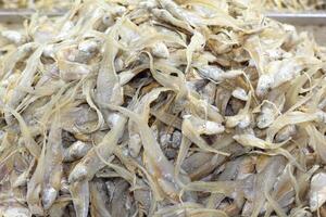 Dried fish display in a seafood market. Fish that is being dried in the sun to be salted fish and sold. Salted Anchovies in one large tray. Heap of dried peeled anchovies photo