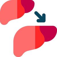 Liver and pancreas with arrow pointing to the left vector