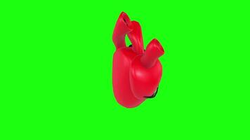 3D rendering of a stylized red heart on a vibrant green background video