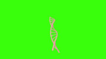 3D rendering of a DNA double helix on a bright green background video