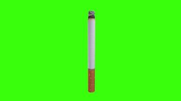 3D rendering of a colorful marker on a bright green background video