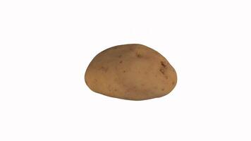 Realistic 3D rendering of a potato on a plain background video