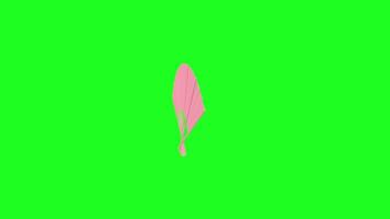 3D rendering of a pink fan rotating against a vibrant green background video