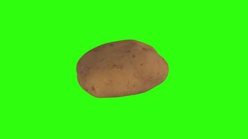 3D rendering of a realistic potato on a green background video