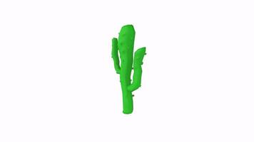 3D rendering of a green cactus model against a white background video