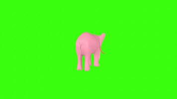3D rendering of a pink elephant on a bright green background video