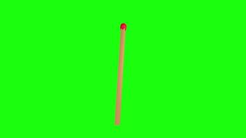 Realistic 3D rendering of a matchstick on a bright green background video