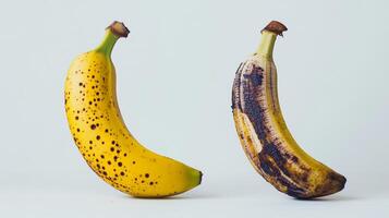 Vibrant Freshness and Decay. A Juxtaposition of Bananas in Soft Studio Lighting photo