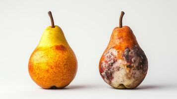 Juxtaposition of Fresh and Decaying Pears. A Vibrant Still Life in Soft Studio Lighting photo