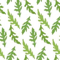 Seamless Arugula Leaf Pattern - Fresh Green Rocket Salad Leaves on White Background vector