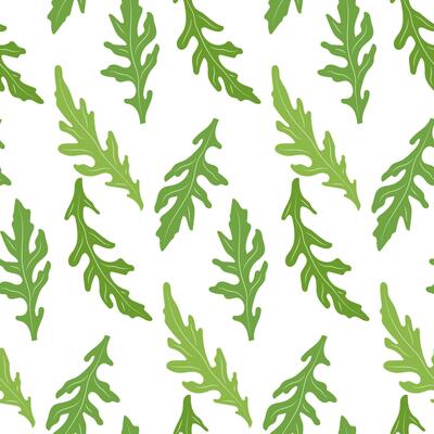 Seamless Arugula Leaf Pattern - Fresh Green Rocket Salad Leaves on White Background