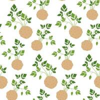 Seamless Celery Root Pattern with Fresh Green Leaves on White Background vector