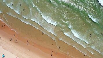 Drone perspective of lively beach scene with sunbathers video