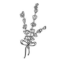 Lavender frame ink bouquet, flower with bow for design of card or invite. black ink hand drawn summer flower illustration, isolate on white background vector