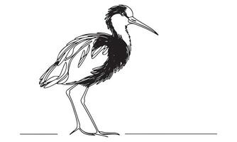 A drawing of a bird standing on a white background vector