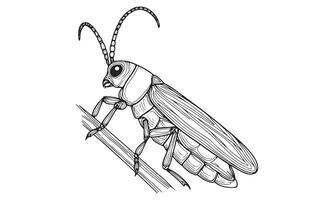 A drawing of a bug on a branch vector