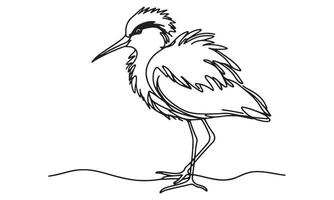 A drawing of a heron standing on the ground vector