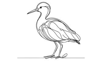 A drawing of a bird standing on a white background vector