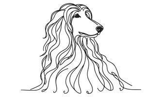 A dog with long hair is drawn in a line vector