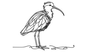A drawing of a bird with long legs vector