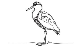 Heron standing on the shore line drawing vector