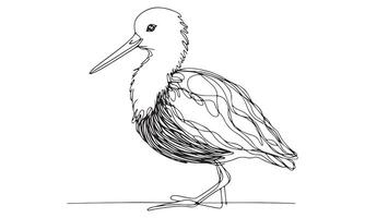 A drawing of a bird with long beak vector