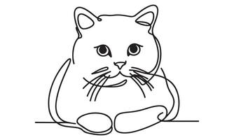 A cat is sitting on a table with its eyes closed vector