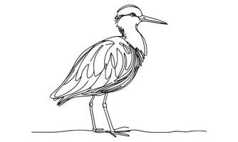 A drawing of a heron standing on the ground vector