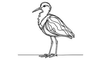 A drawing of a bird standing on a white background vector