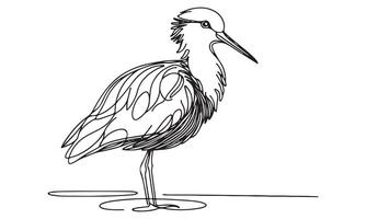 A drawing of a heron standing on a rock vector