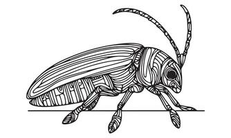 A bug with long legs and long antennae vector
