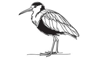 A drawing of a bird standing on its legs vector