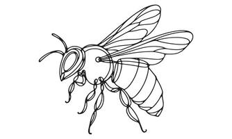 Bee coloring page with a bee on a white background vector