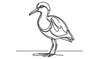 A drawing of a bird standing on a white background vector