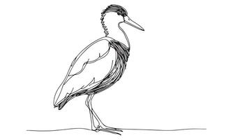 A drawing of a heron standing on the ground vector