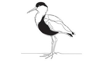A drawing of a bird standing on one leg vector